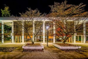 10 events not to miss at Congress 2019