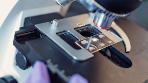 UBC psychology researchers awarded $3.6M in CIHR funding