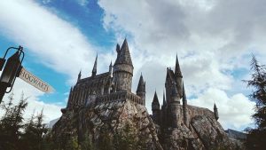 Meet Professor Giselle Baxter: Exploring the Harry Potter fanbase