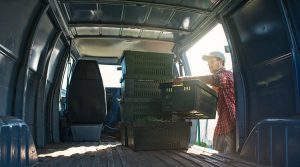 Exploring sustainability at UBC’s CIRS