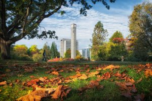 Arts recipients of UBC’s 2021 Faculty Research Awards