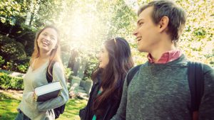Why pursue German Studies at UBC?