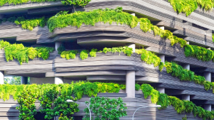 Shape a just and sustainable future with a major in Urban Studies