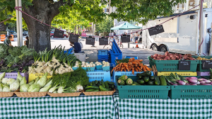 Arts events not to miss this Summer 2025